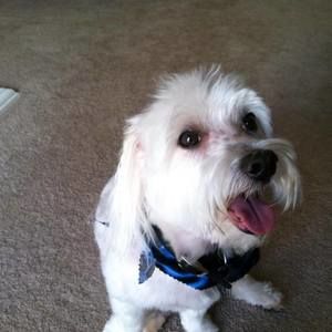 Meet your Posher, Lori